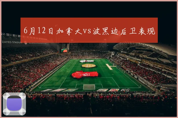 6月12日加拿大vs波黑边后卫表现