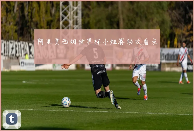 阿里贾西姆世界杯小组赛助攻看点