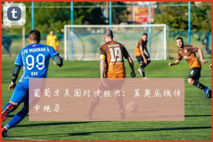 葡萄牙美国对攻经典：莱奥底线传中绝杀