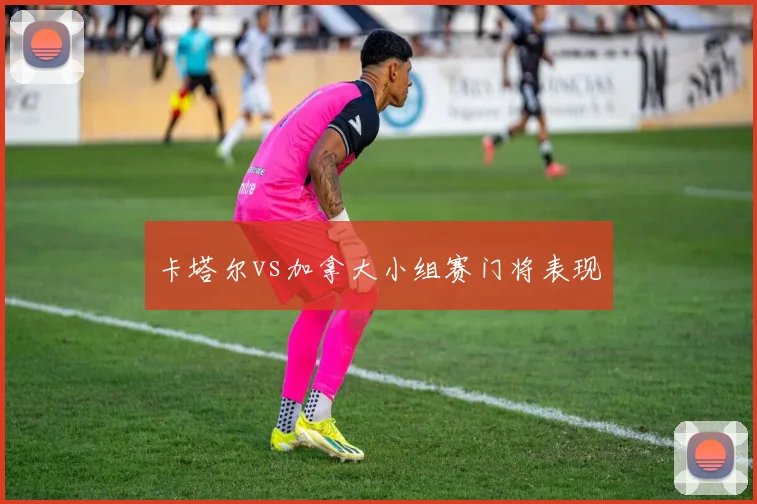 卡塔尔vs加拿大小组赛门将表现