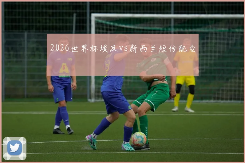2026世界杯埃及vs新西兰短传配合