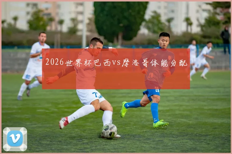 2026世界杯巴西vs摩洛哥体能分配
