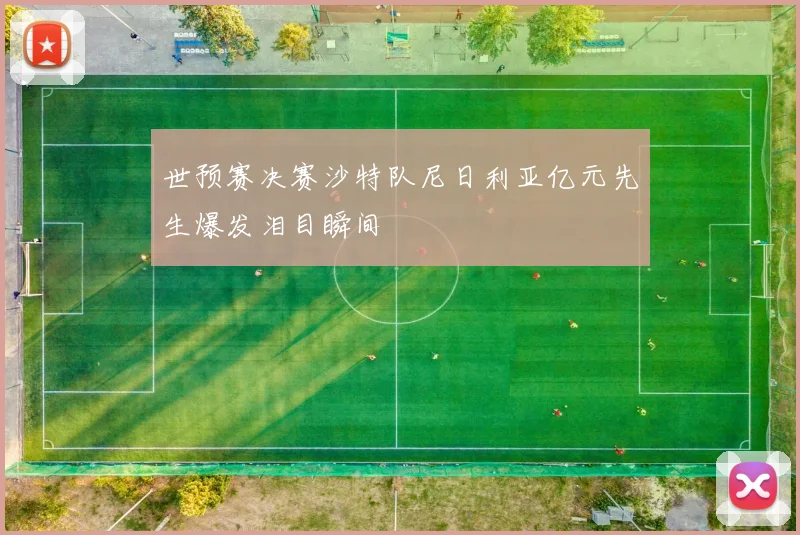 世预赛决赛沙特队尼日利亚亿元先生爆发泪目瞬间